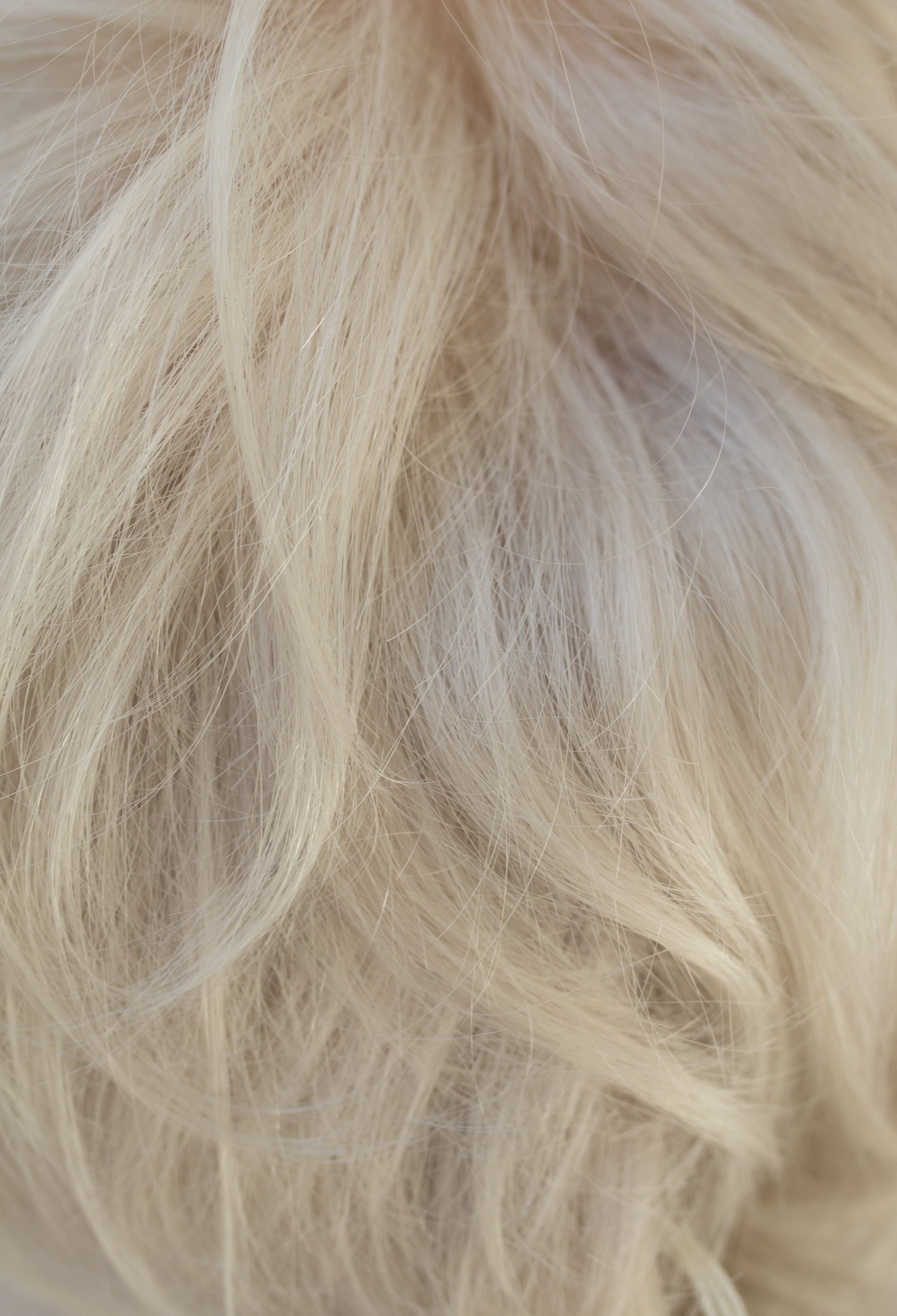 Nour wig - Rene of Paris Noriko Collection *NEW*