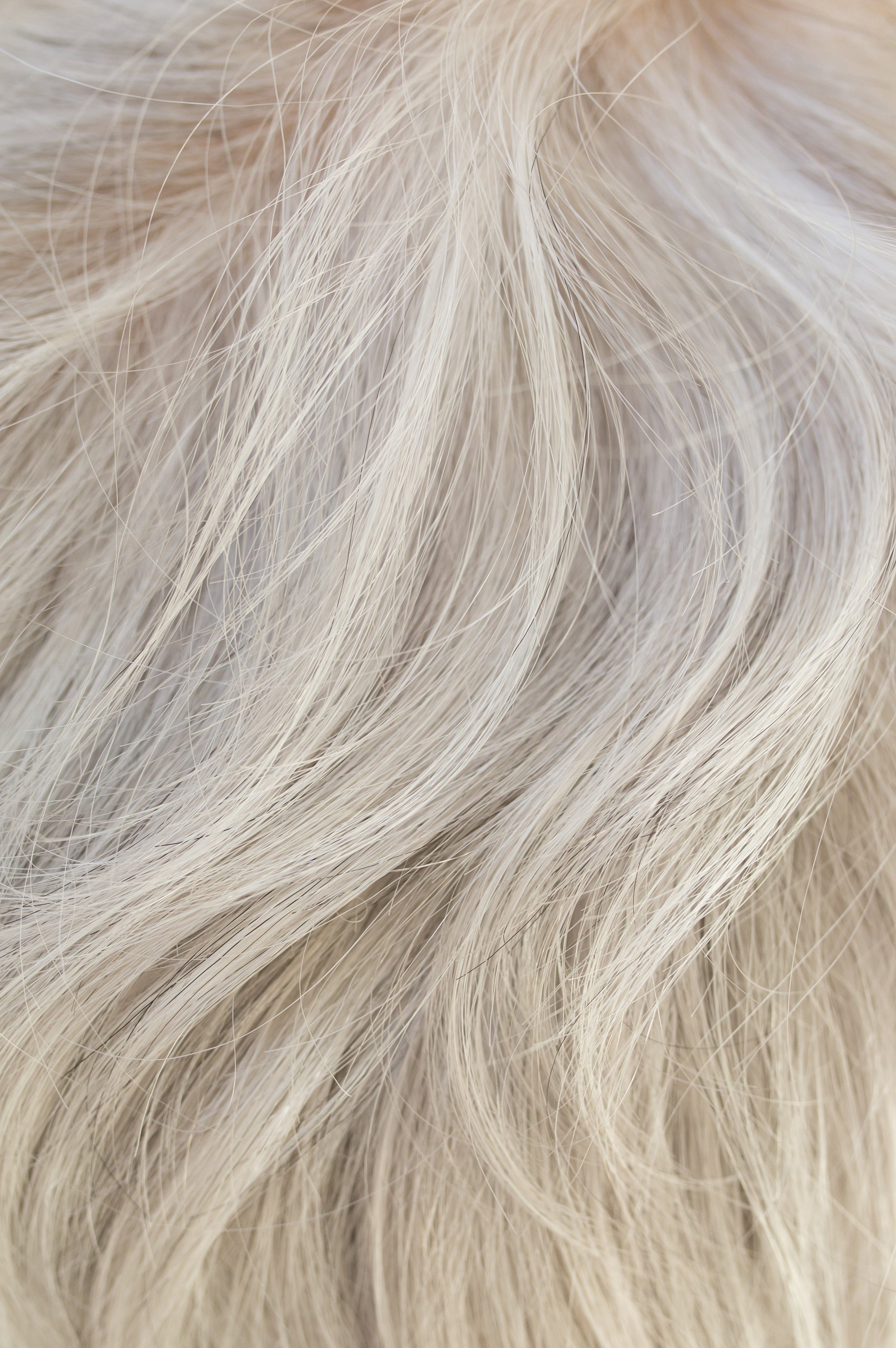 Nour wig - Rene of Paris Noriko Collection *NEW*