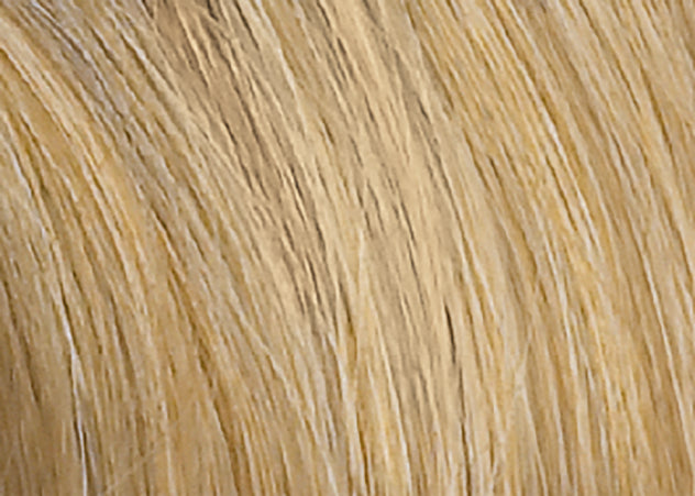Award human hair wig - Ellen Wille Pure Power Collection