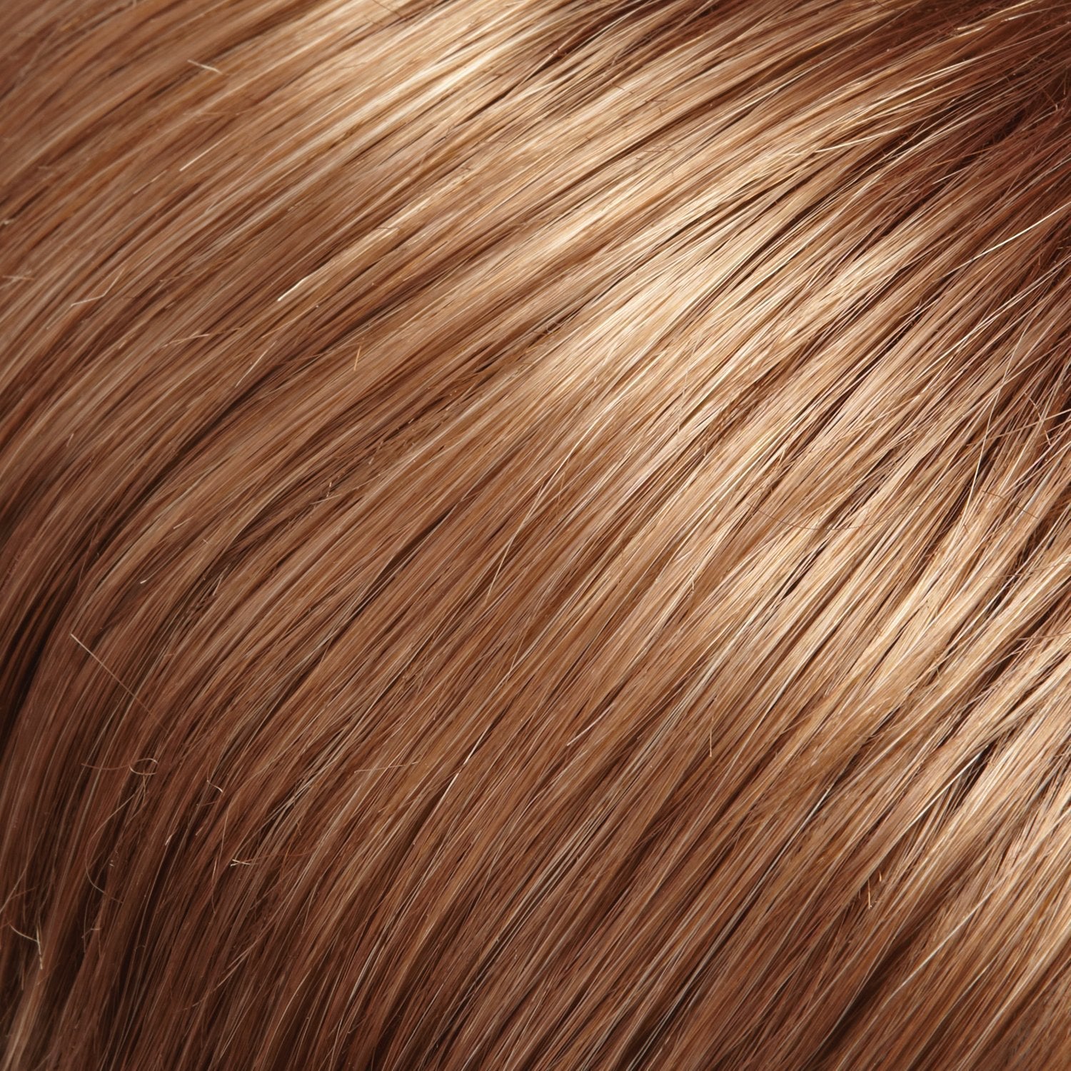Selena wig - Jon Renau SmartLace Collection