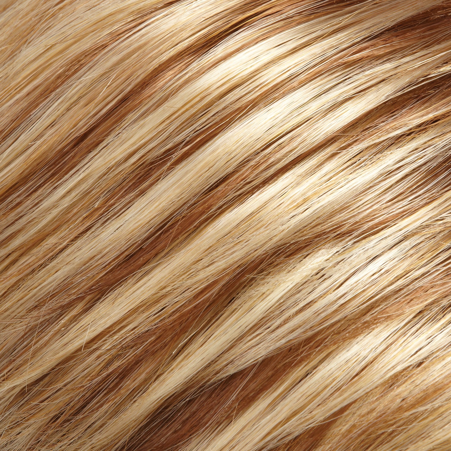 January wig - Jon Renau SmartLace Collection