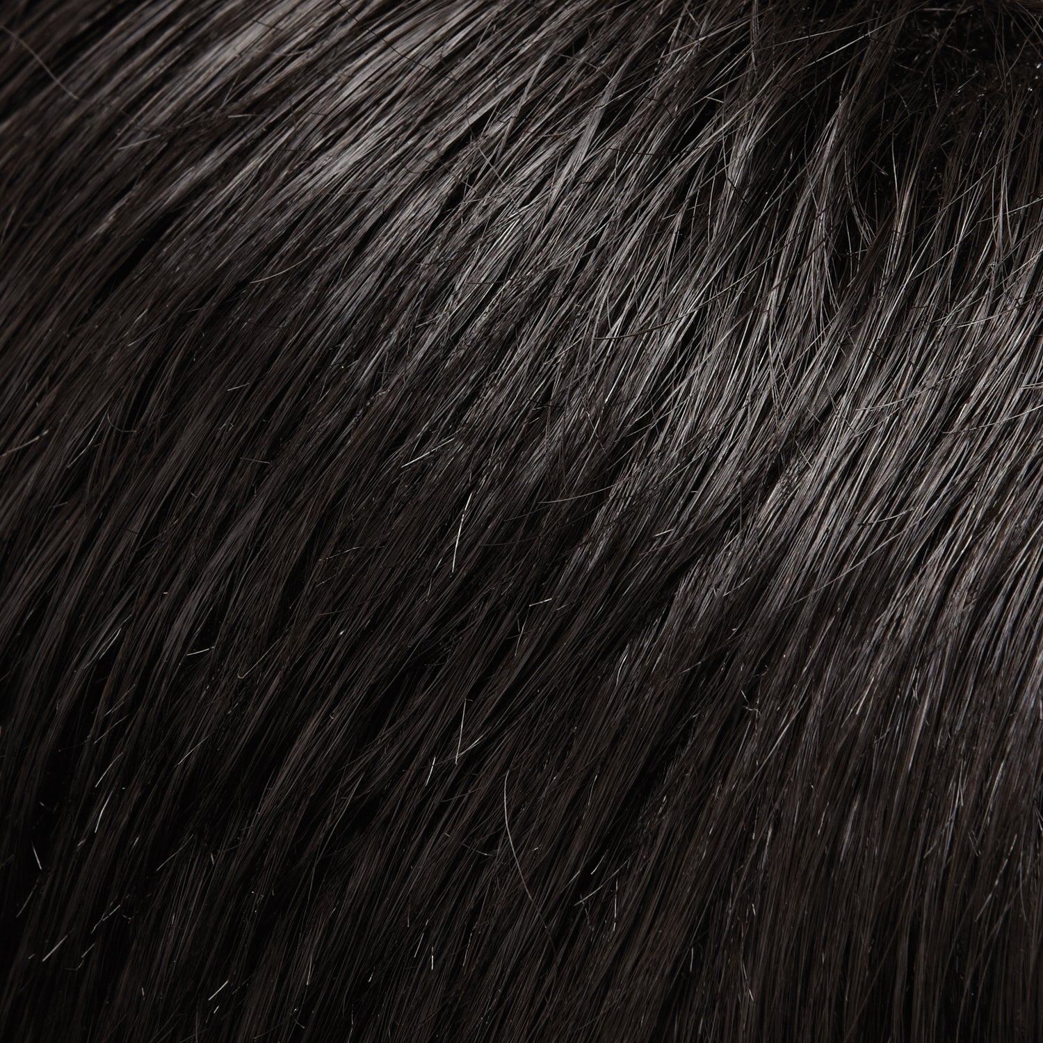 Zara Petite wig - Jon Renau SmartLace Collection