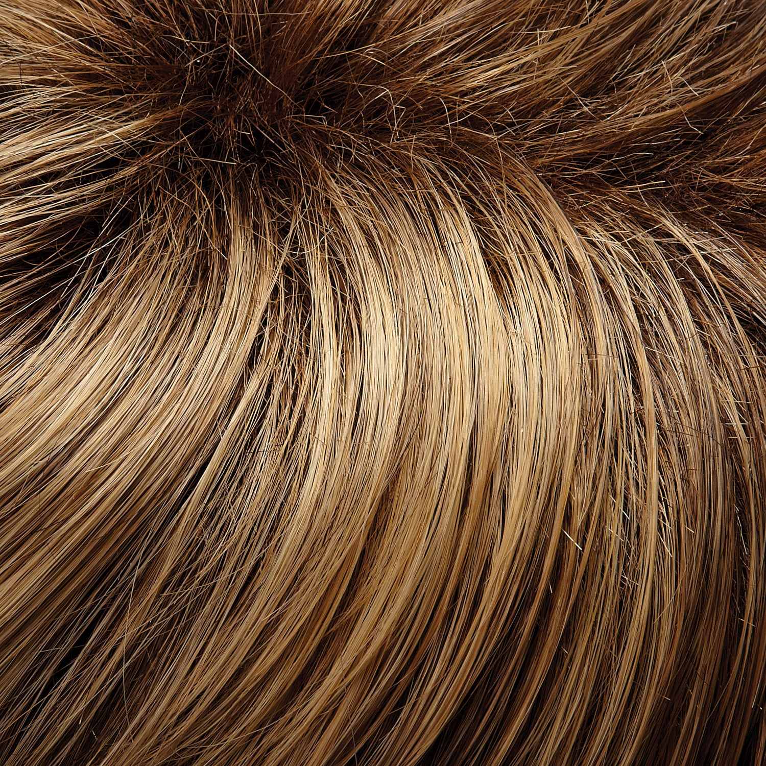 Naomi wig - Jon Renau HD Collection
