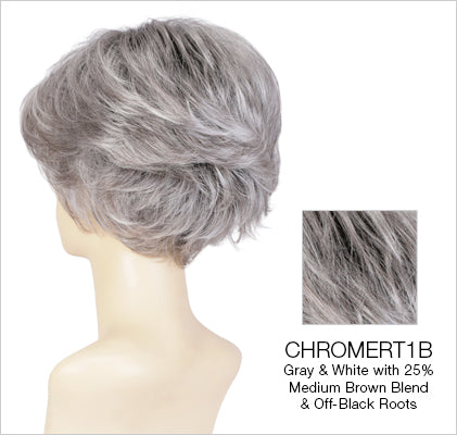 Wynter wig - Estetica Designs Front Lace Line Collection