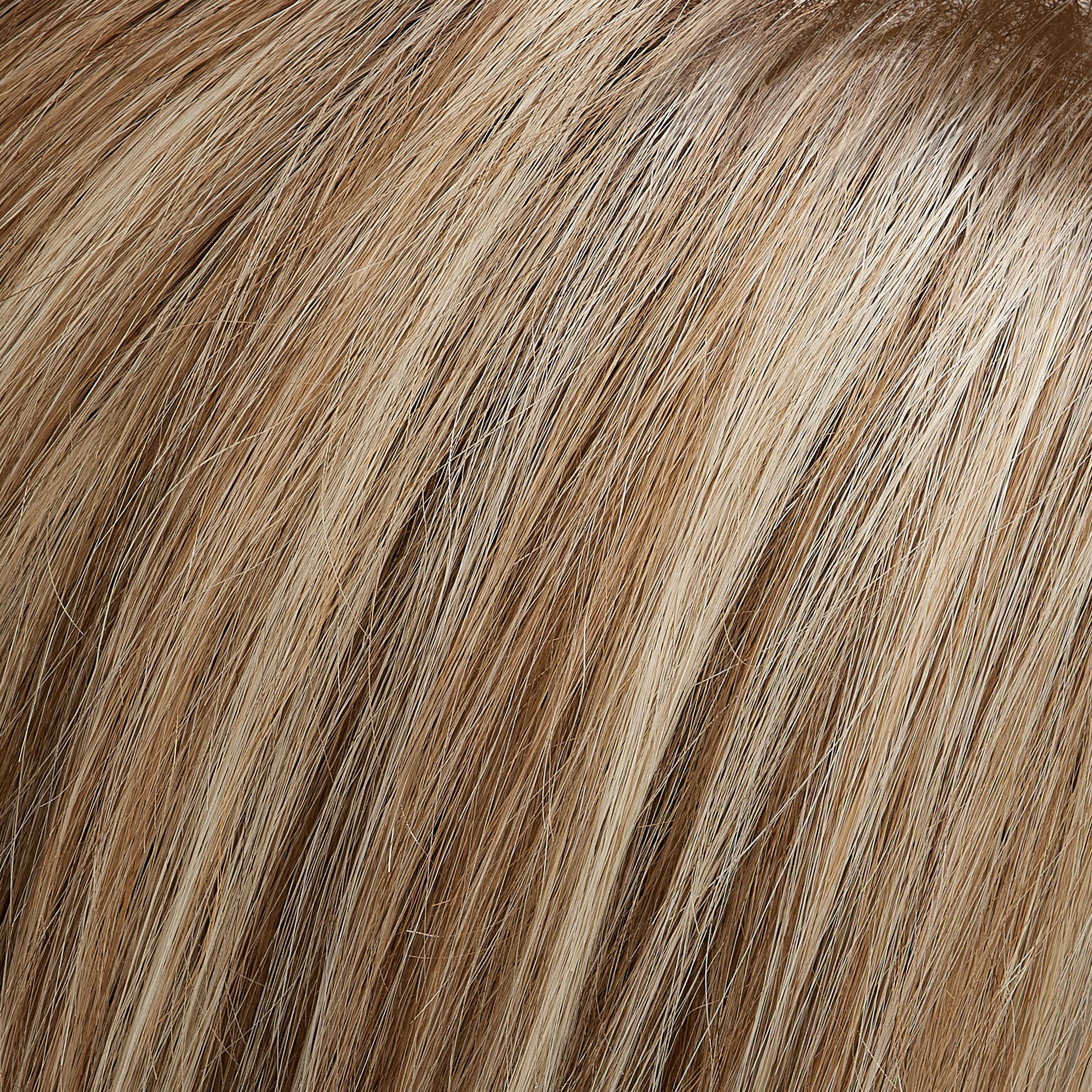 Gwyneth wig - Jon Renau SmartLace Human Hair Collection