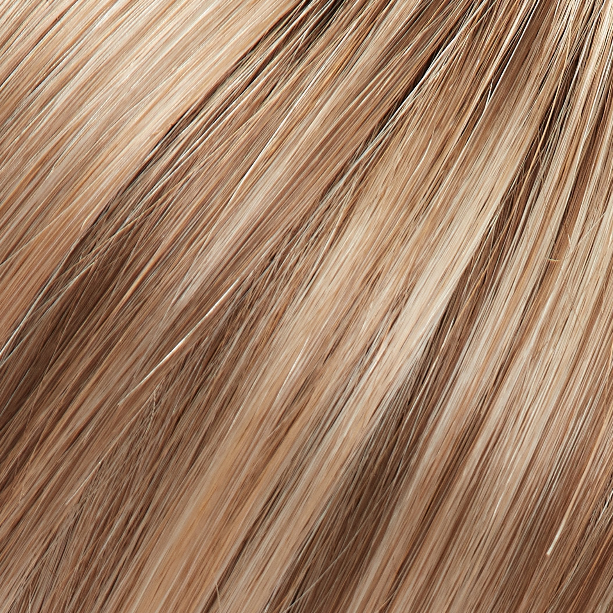 Selena wig - Jon Renau SmartLace Collection