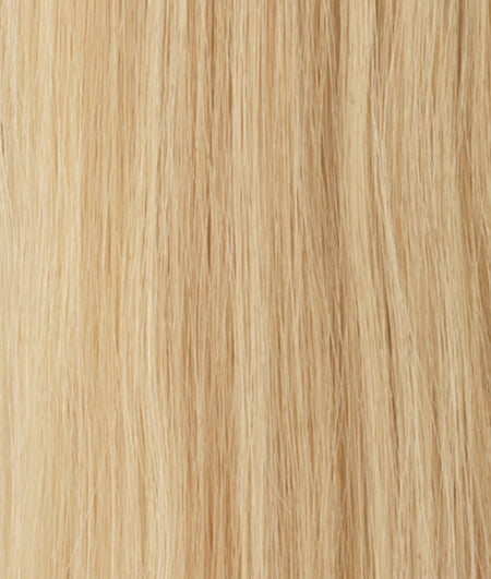 Contessa wig - Raquel Welch Black Label Human Hair Collection