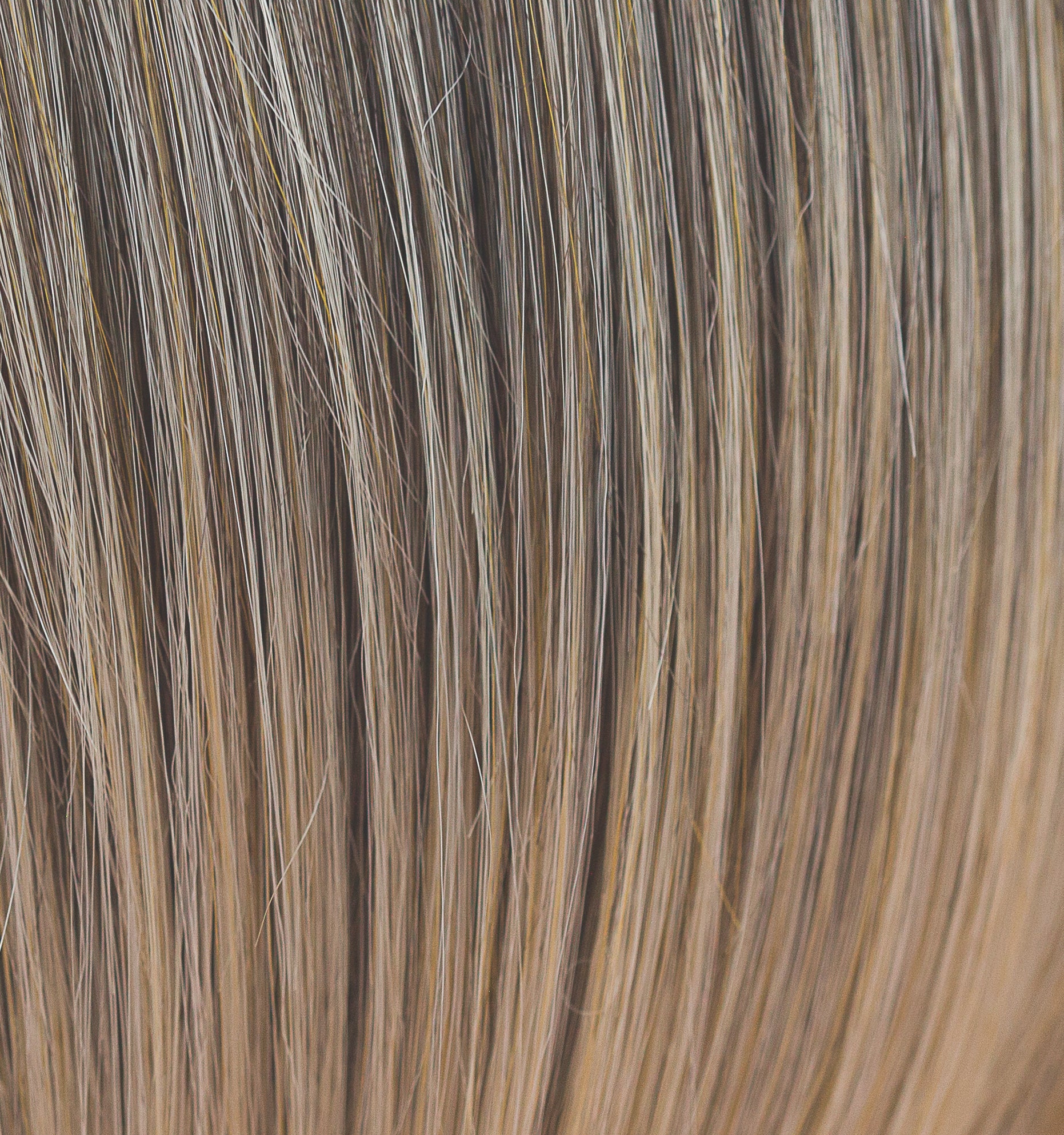 Valentina wig - Rene of Paris Orchid Collection