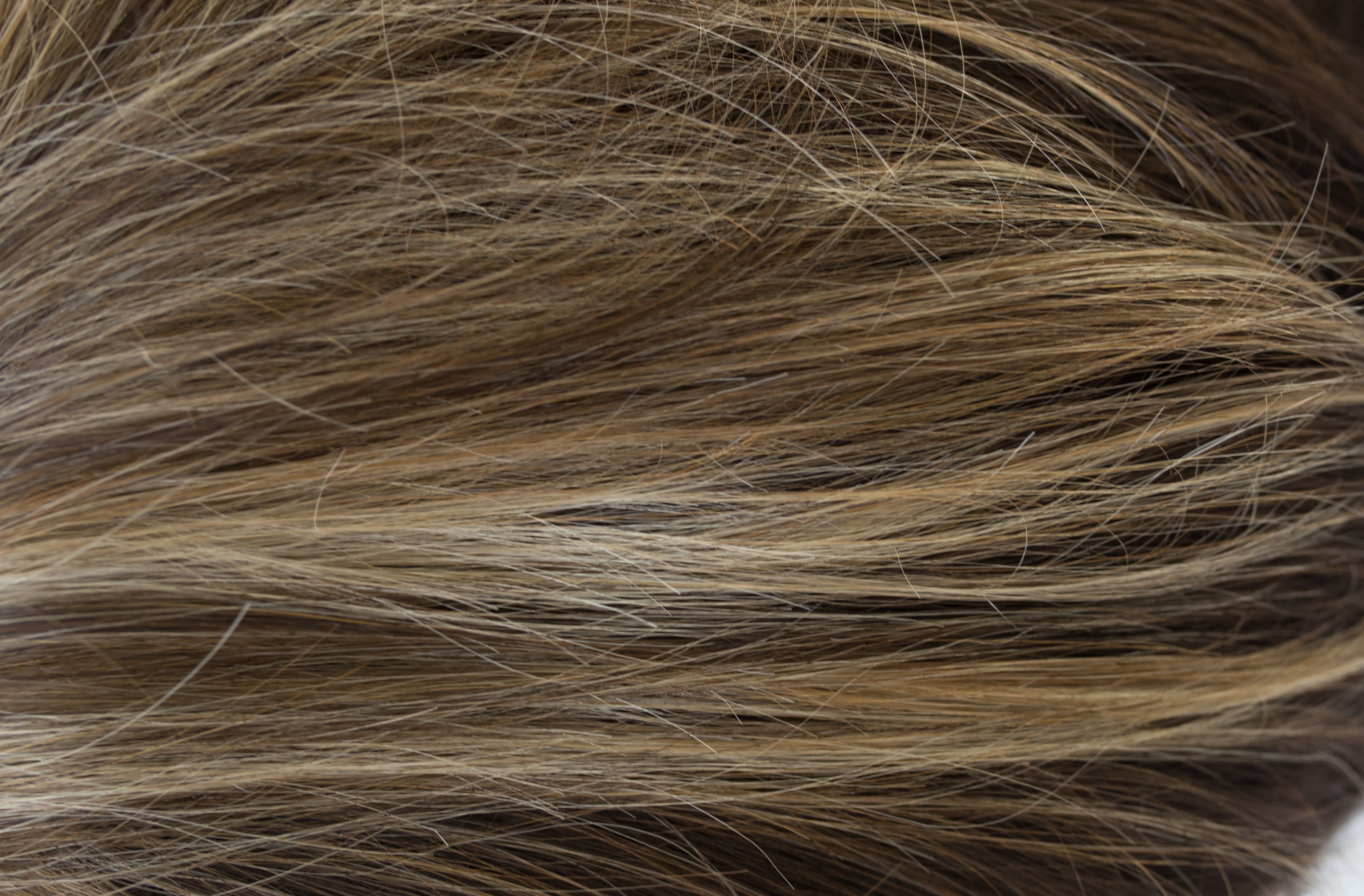 Rene of Paris Amore Collection - Emily wig