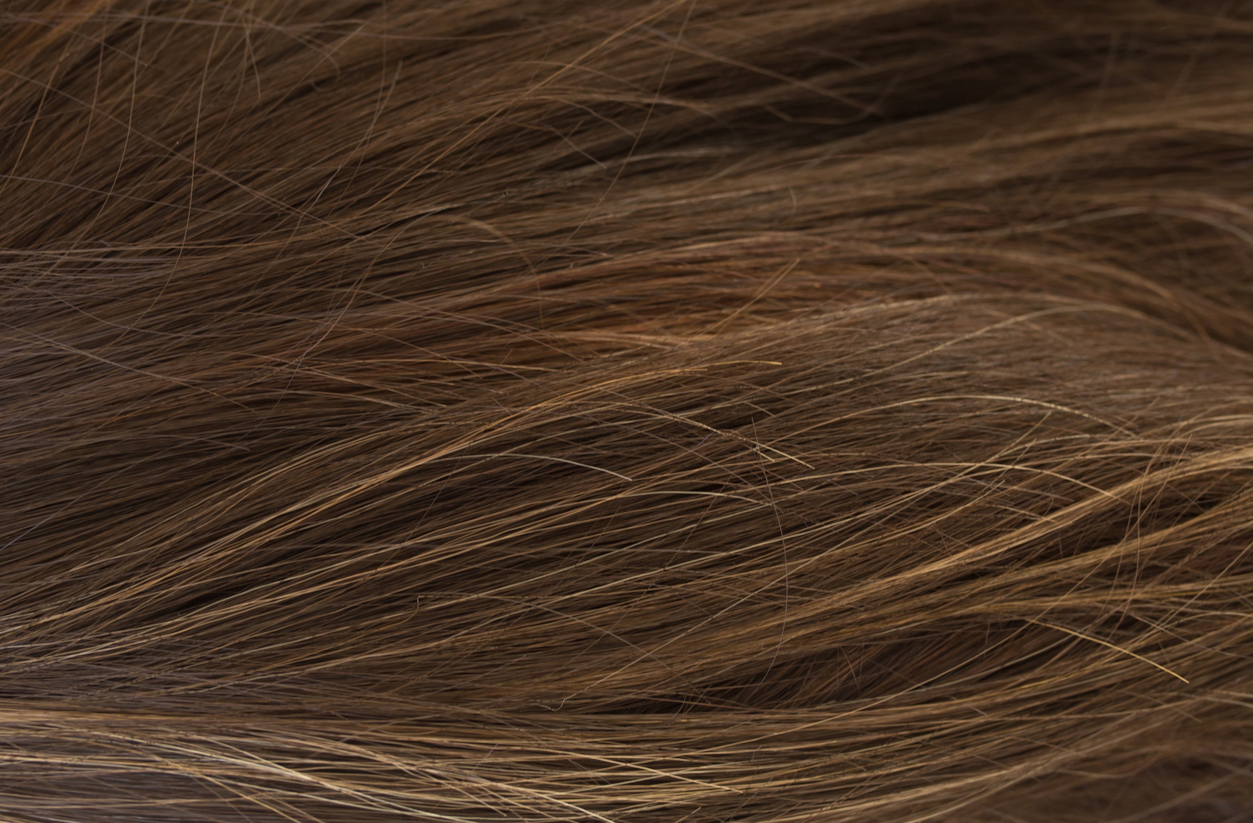 Rene of Paris Amore Collection - Erin wig