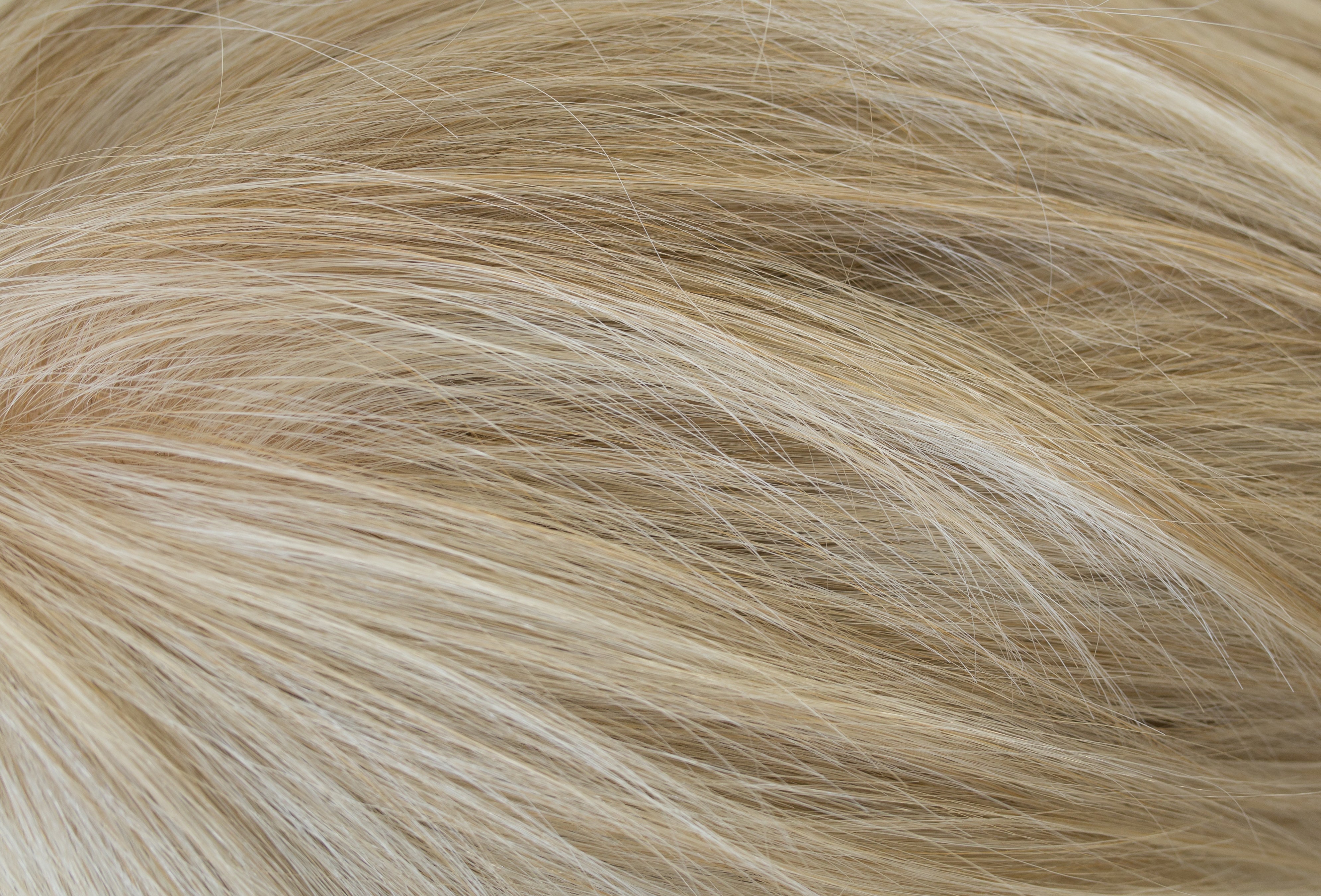 Sue wig - Rene of Paris Alexander Couture Collection