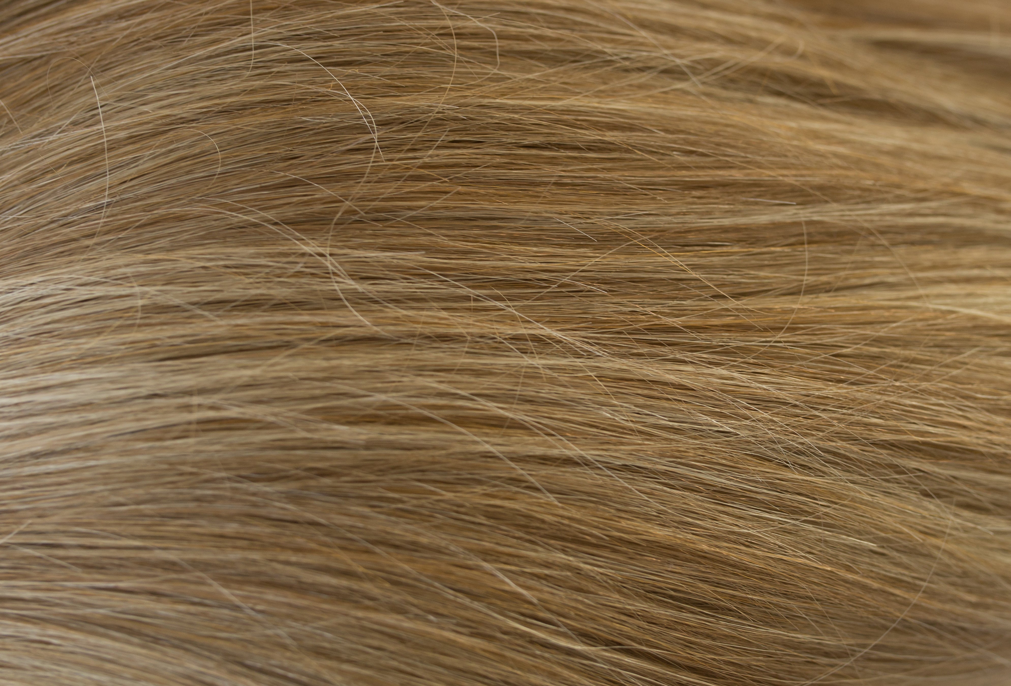 Rene of Paris Amore Collection - Codi XO wig