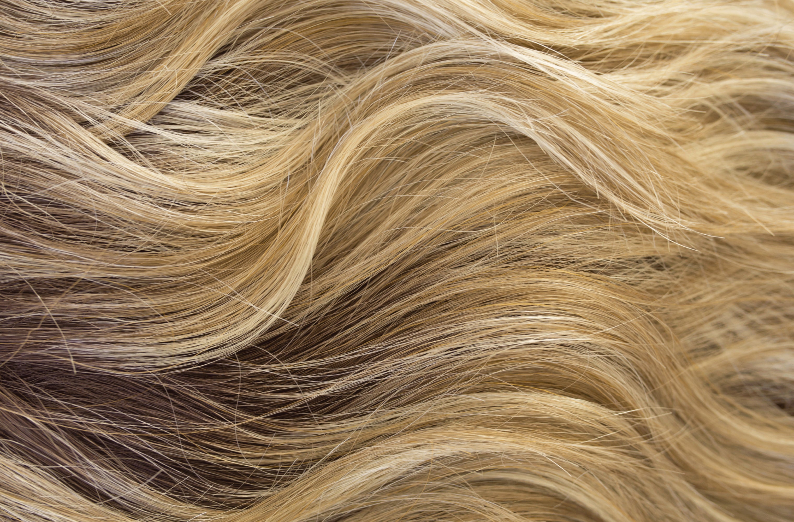 Rene of Paris Amore Collection - Codi XO wig