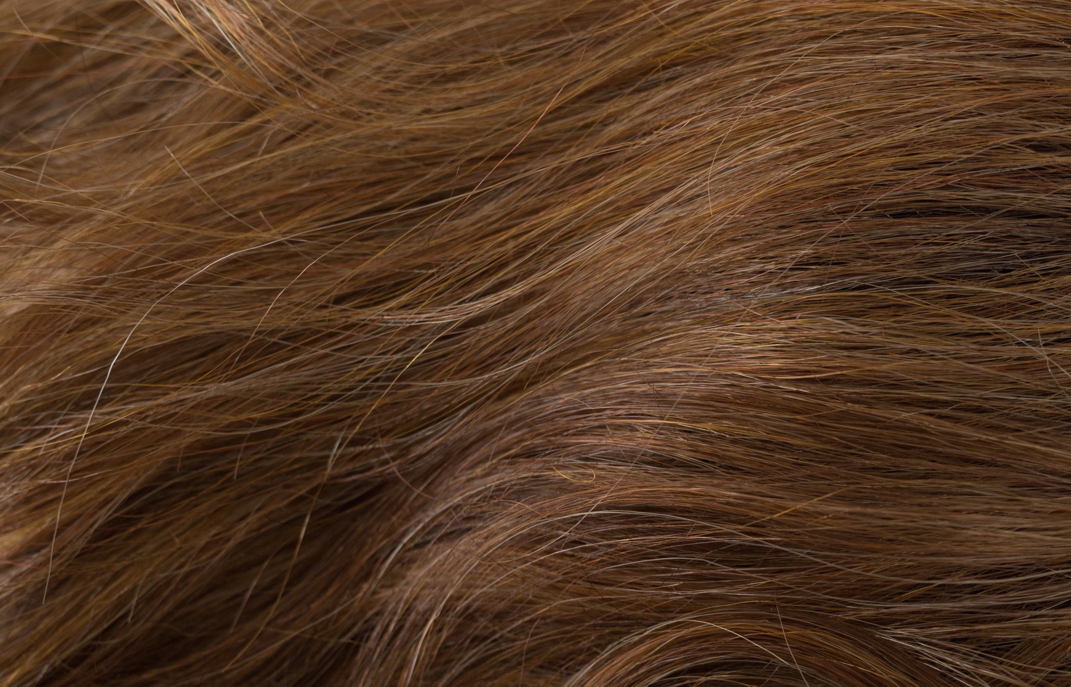 Rene of Paris Amore Collection - Vada wig