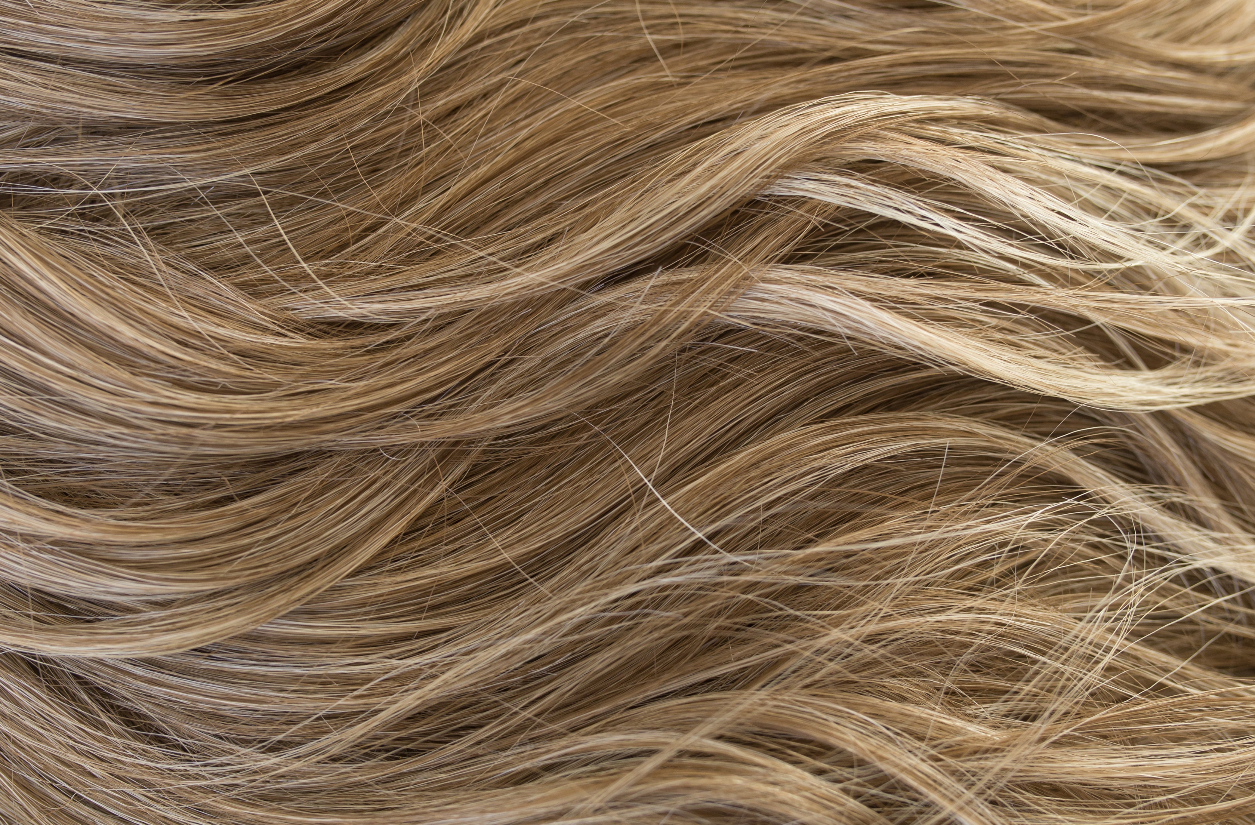 Rene of Paris Amore Collection - Levy wig