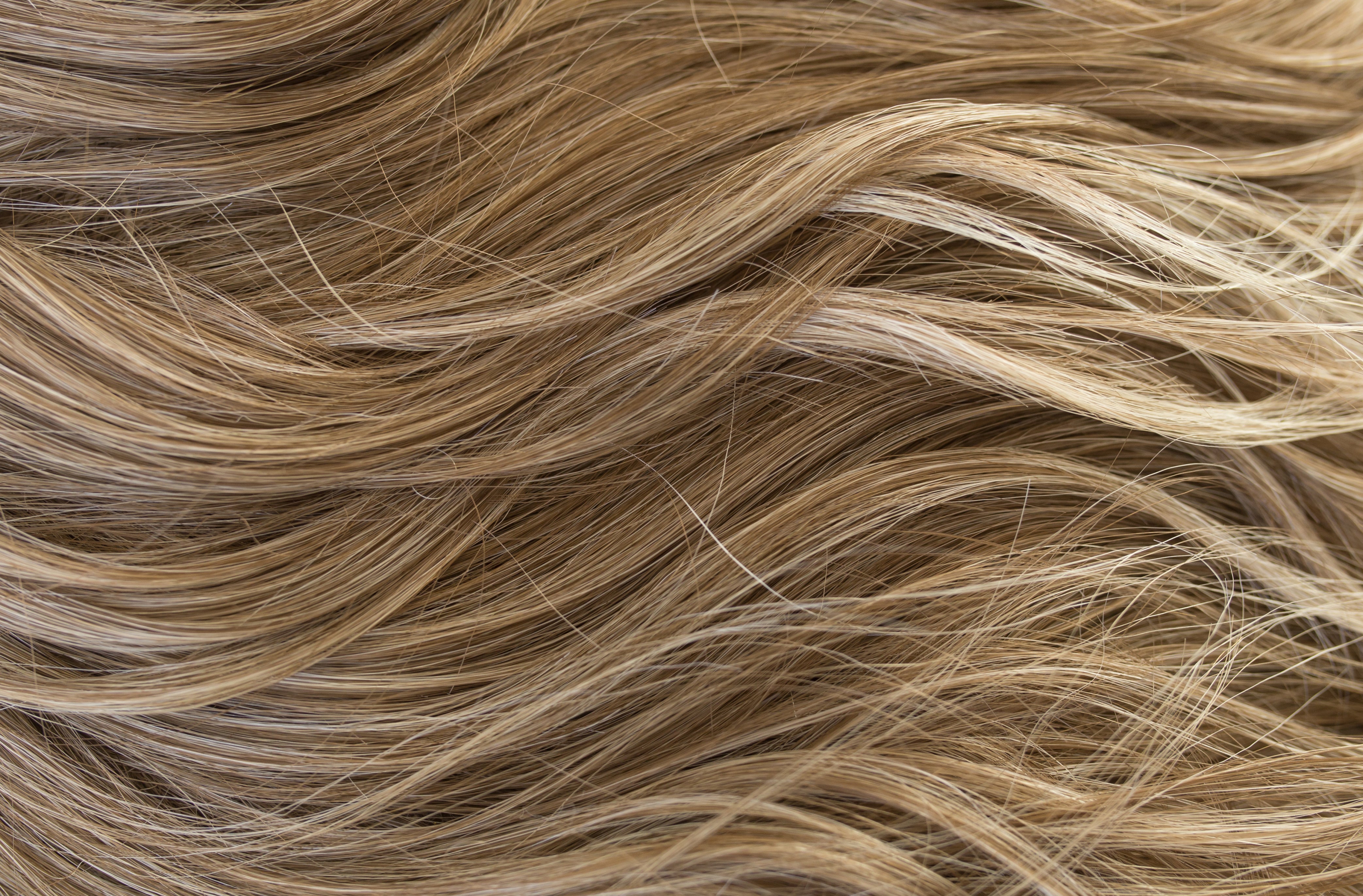 Rene of Paris Amore Collection - Brandi wig