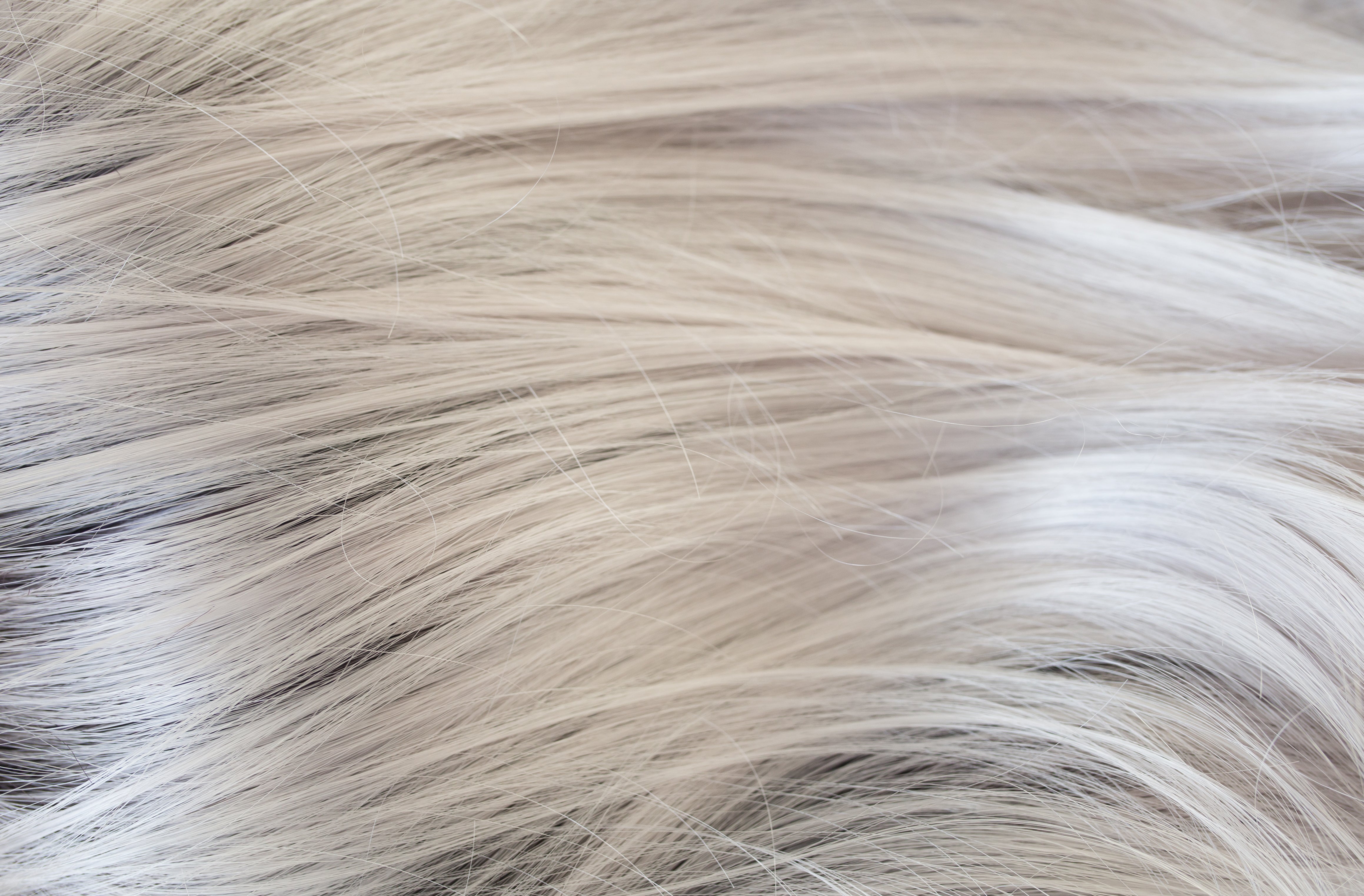 Rene of Paris Amore Collection - Vada wig