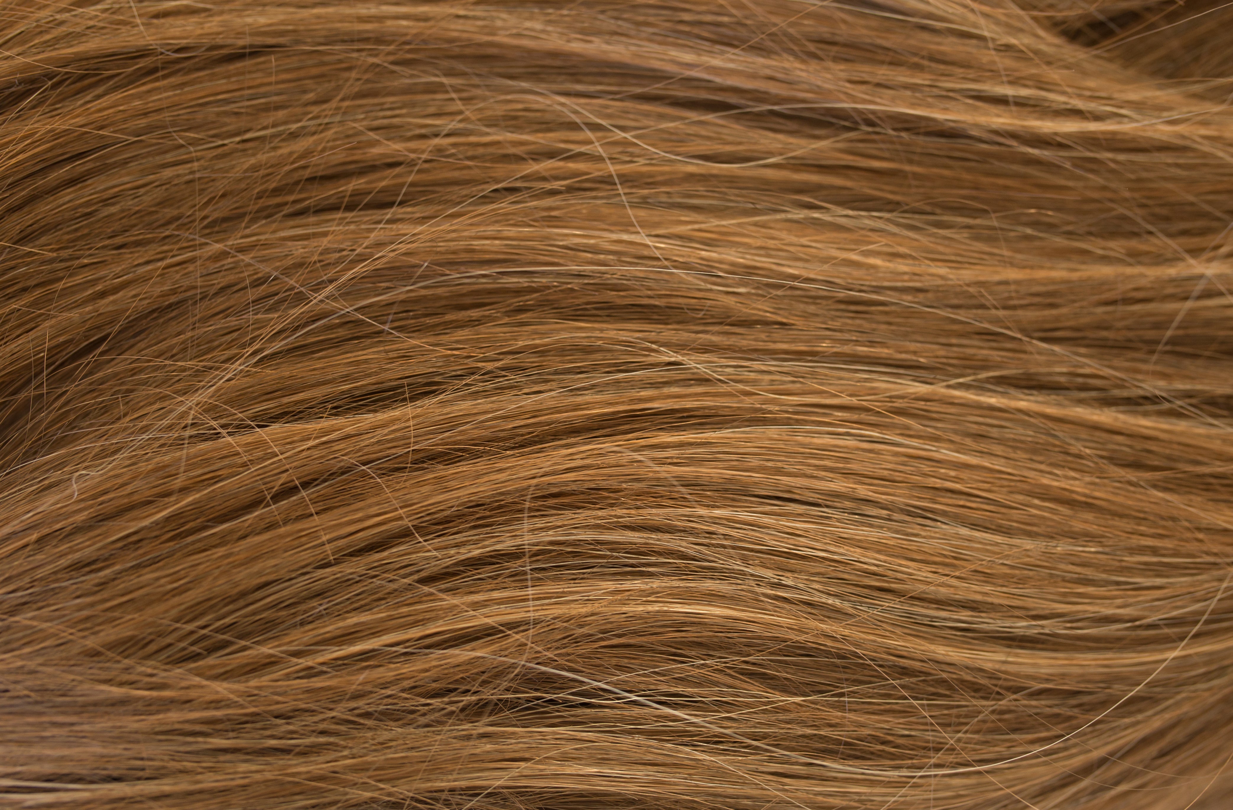 Rene of Paris Amore Collection - Emily wig