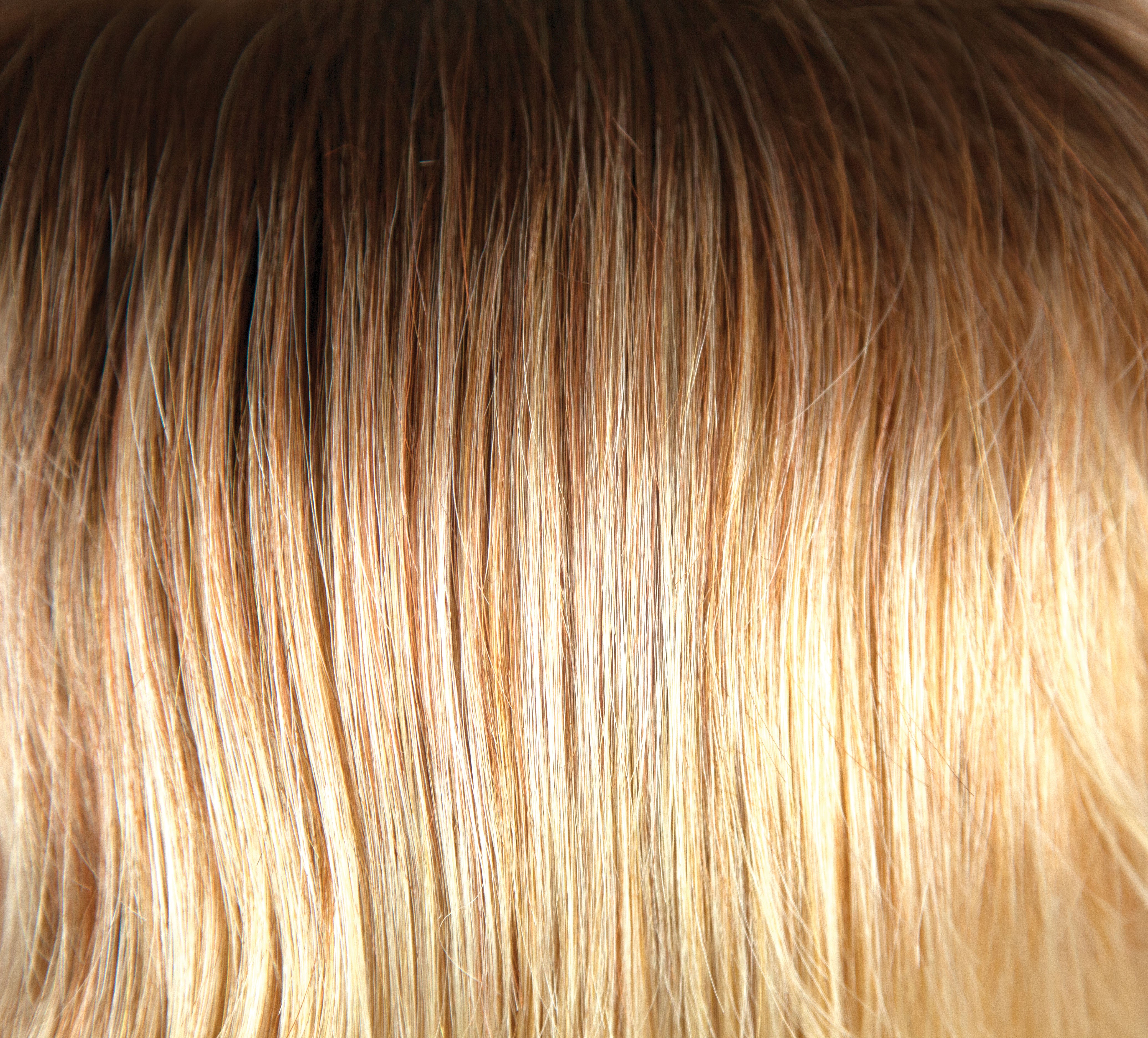 Rene of Paris Amore Collection - Brandi wig