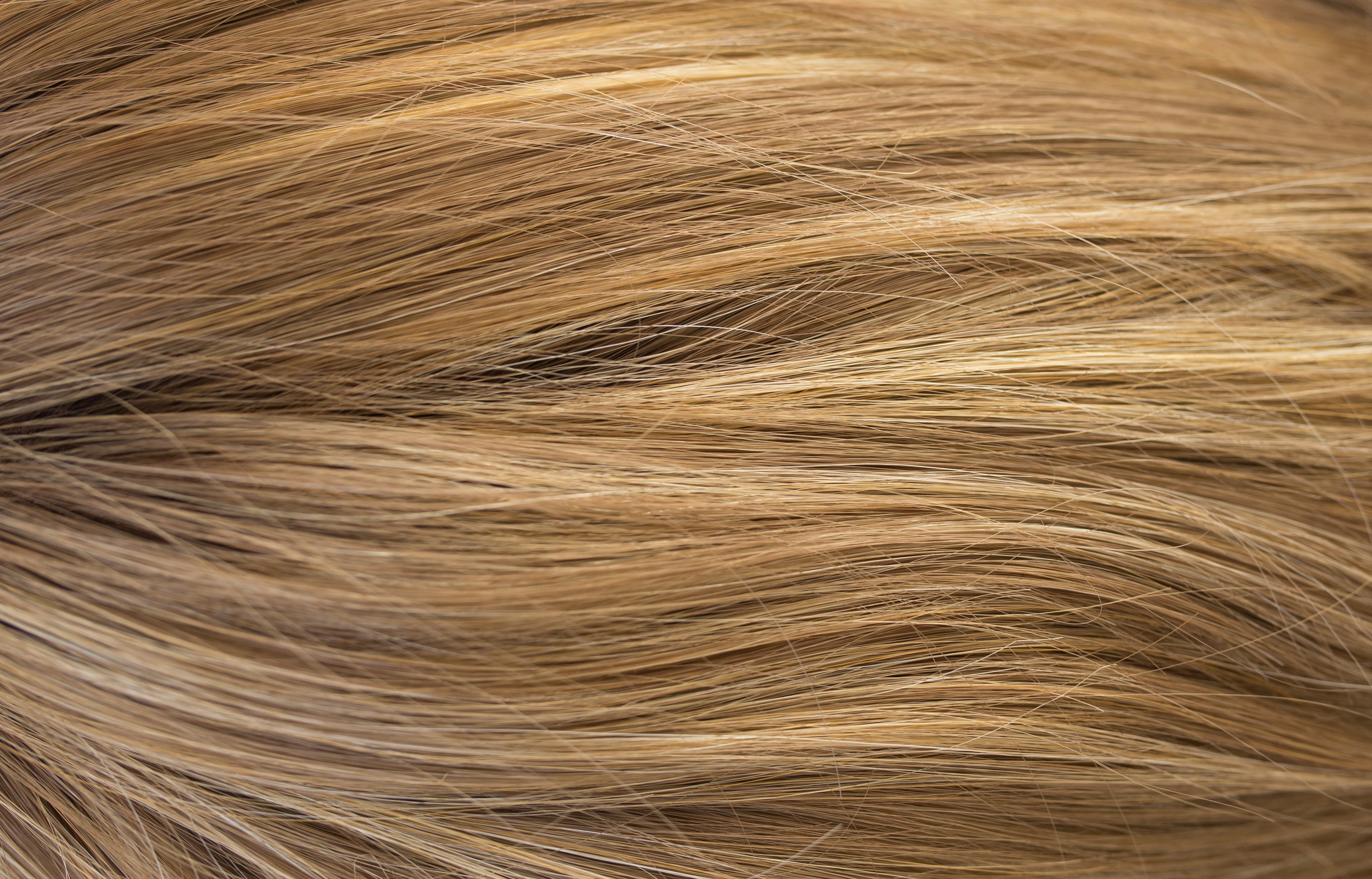 Rene of Paris Amore Collection - Codi XO wig