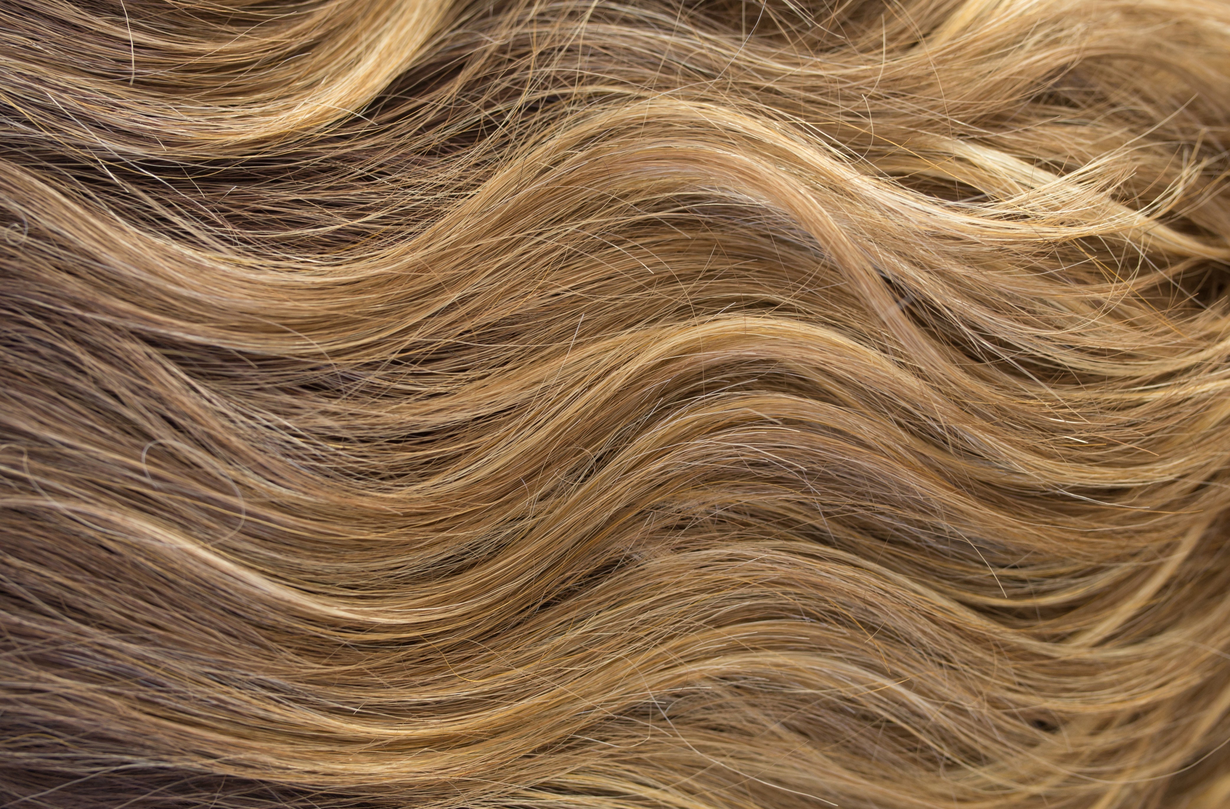 Rene of Paris Amore Collection - Levy wig