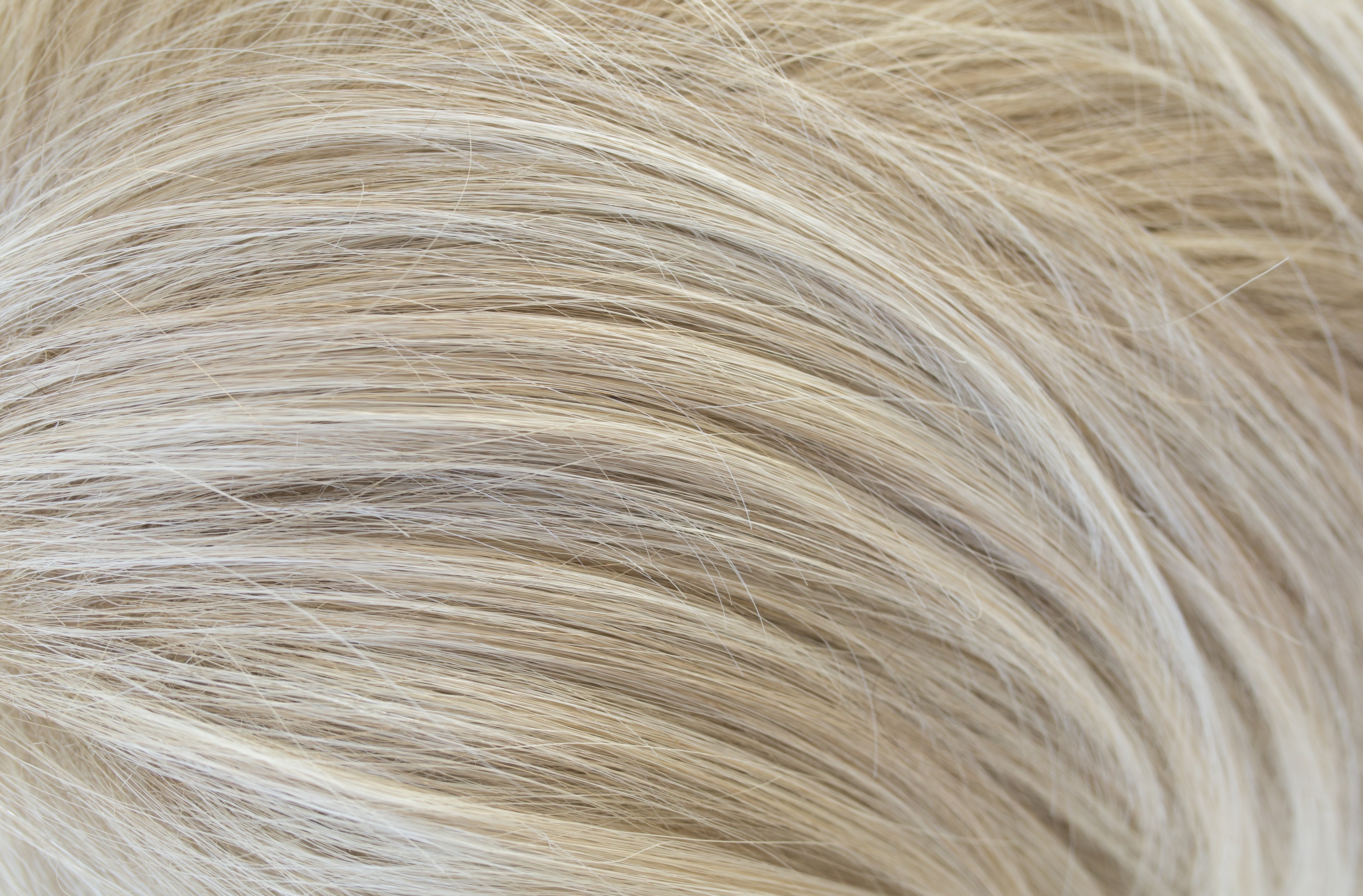 Rene of Paris Amore Collection - Stevie wig