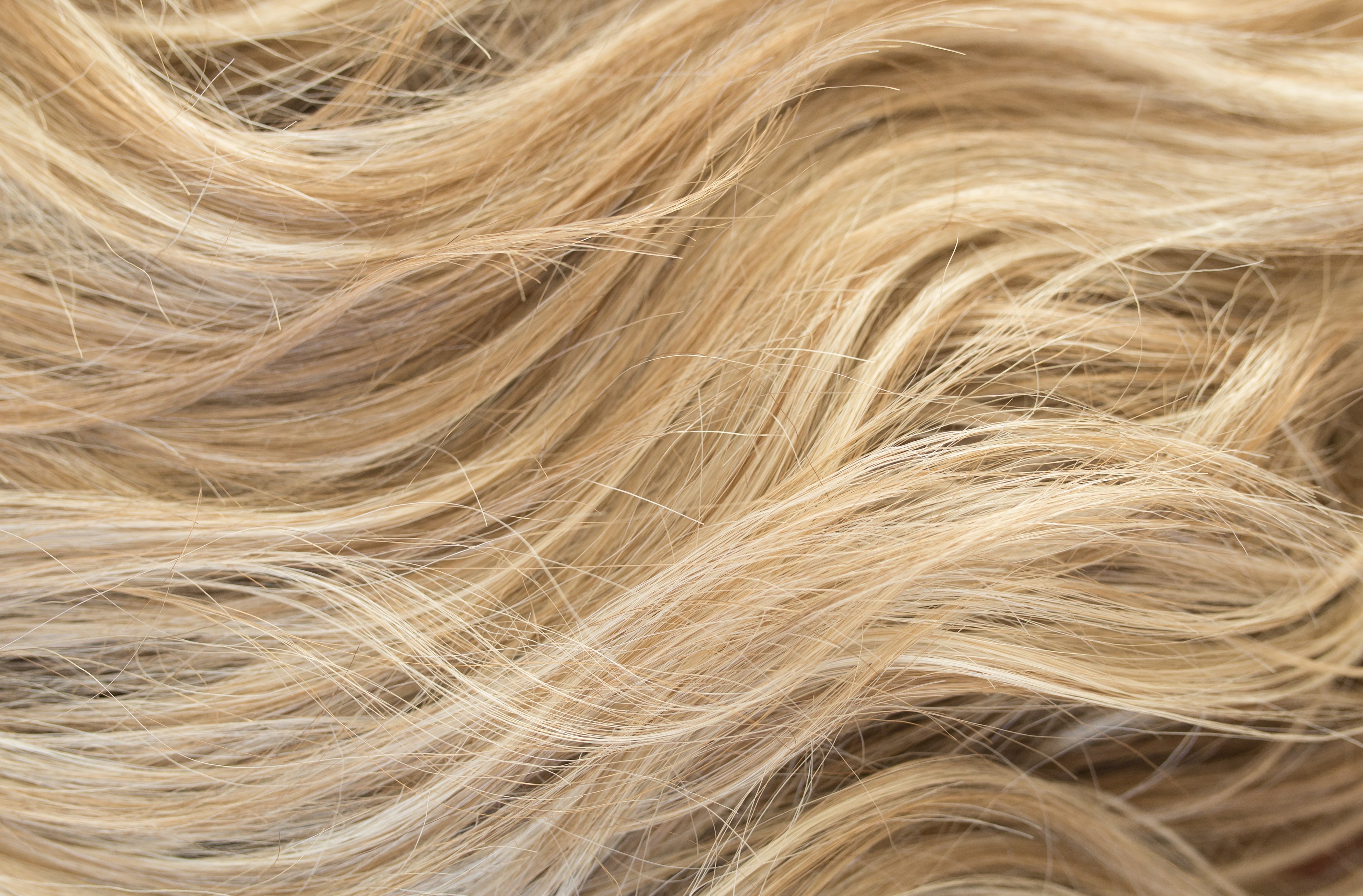 Rene of Paris Amore Collection - Levy wig