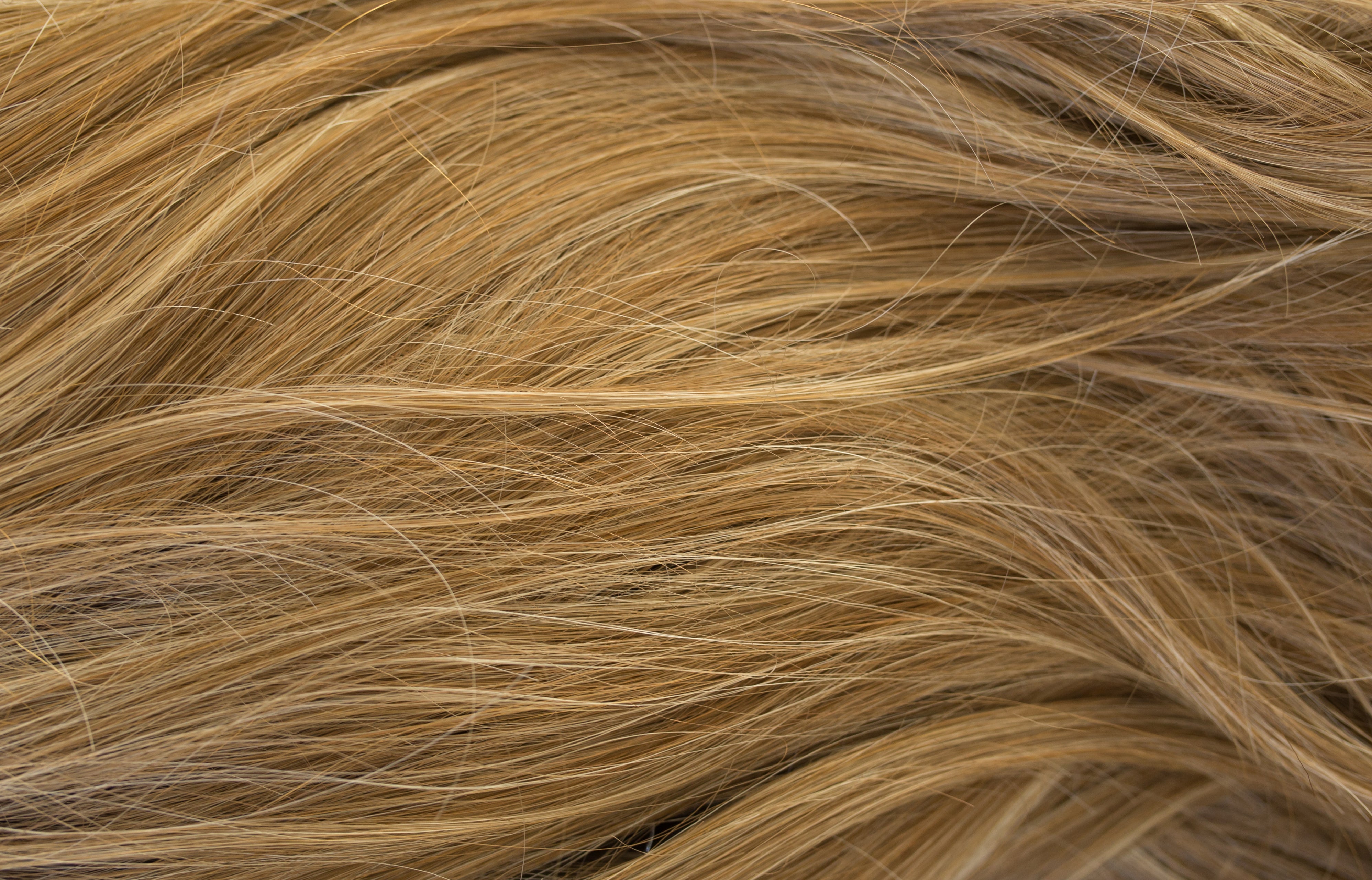 Sue wig - Rene of Paris Alexander Couture Collection