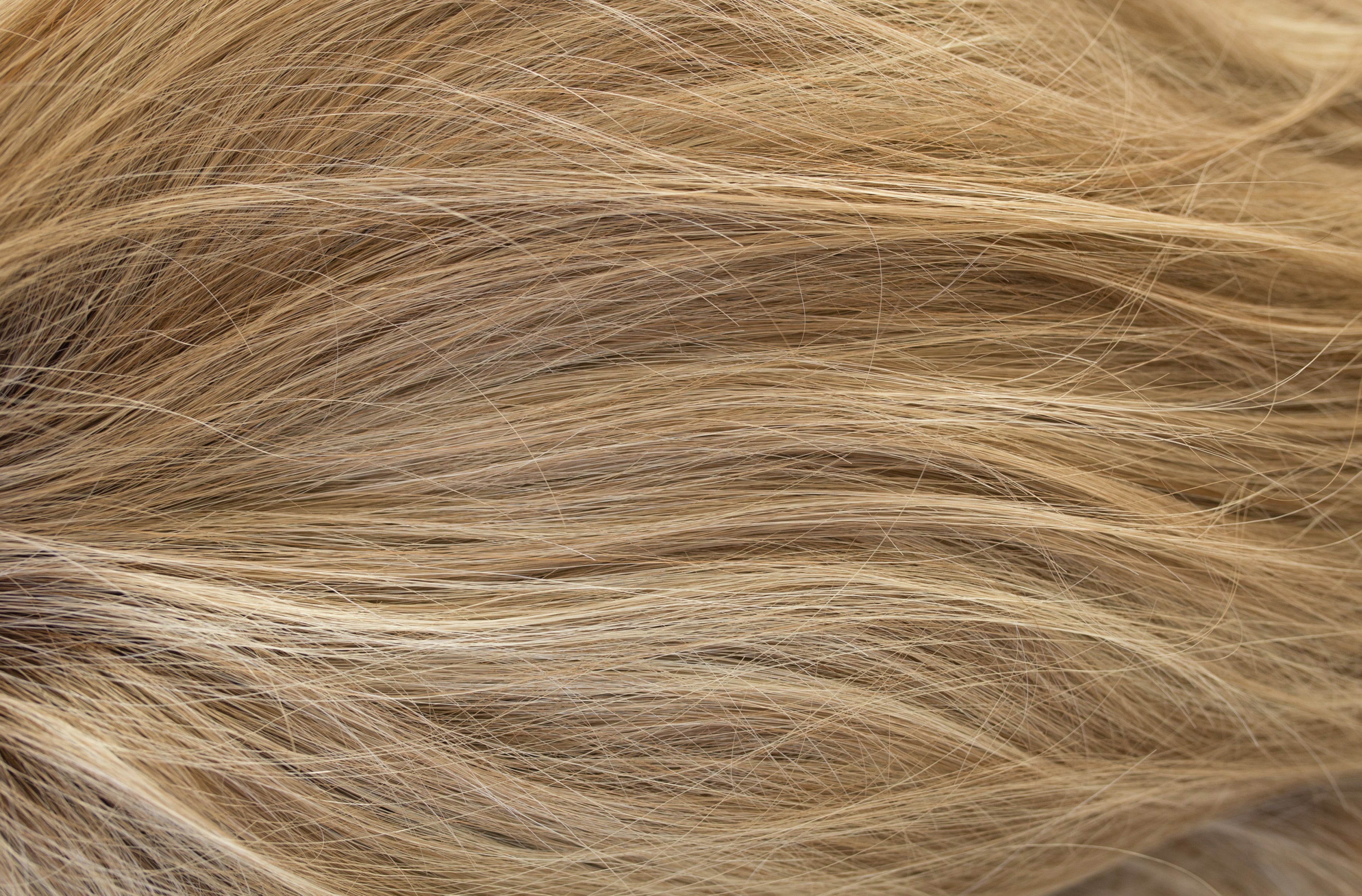 Rene of Paris Amore Collection - Madelyn wig
